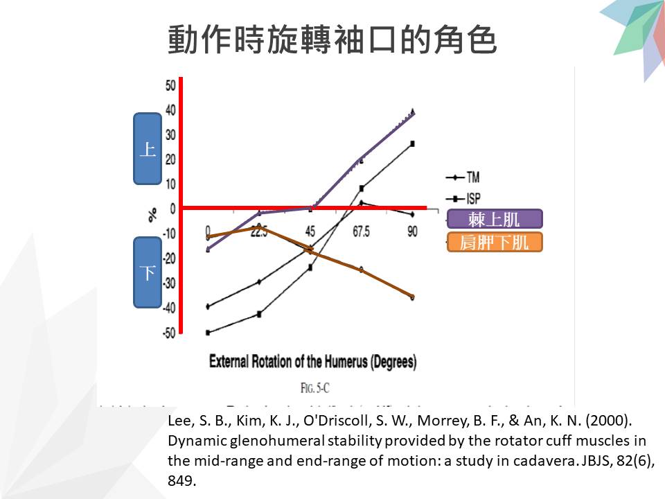 肩夾擠症候群2