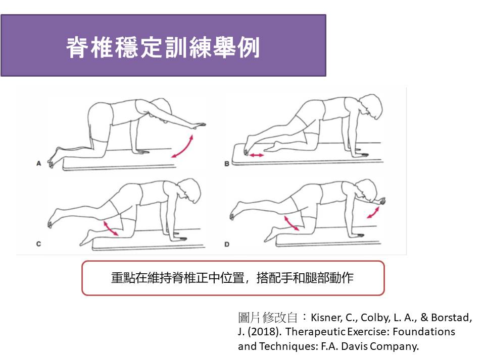 脊椎滑脫穩定運動