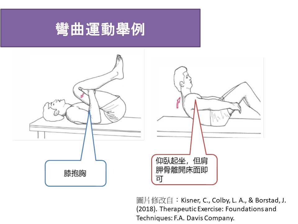 脊椎滑脫彎曲運動舉例