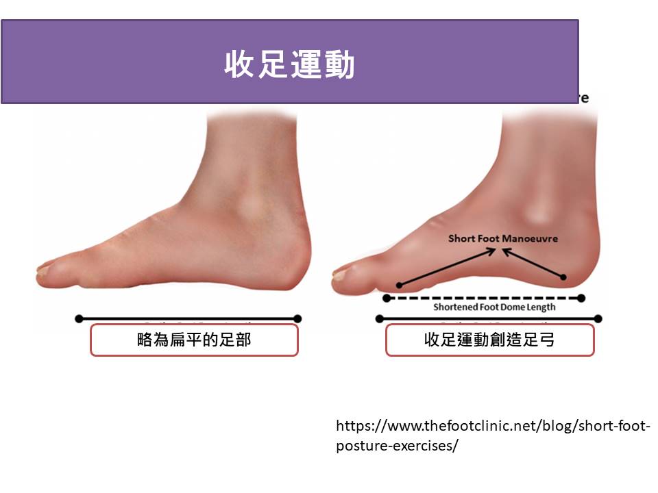 扁平足收足運動
